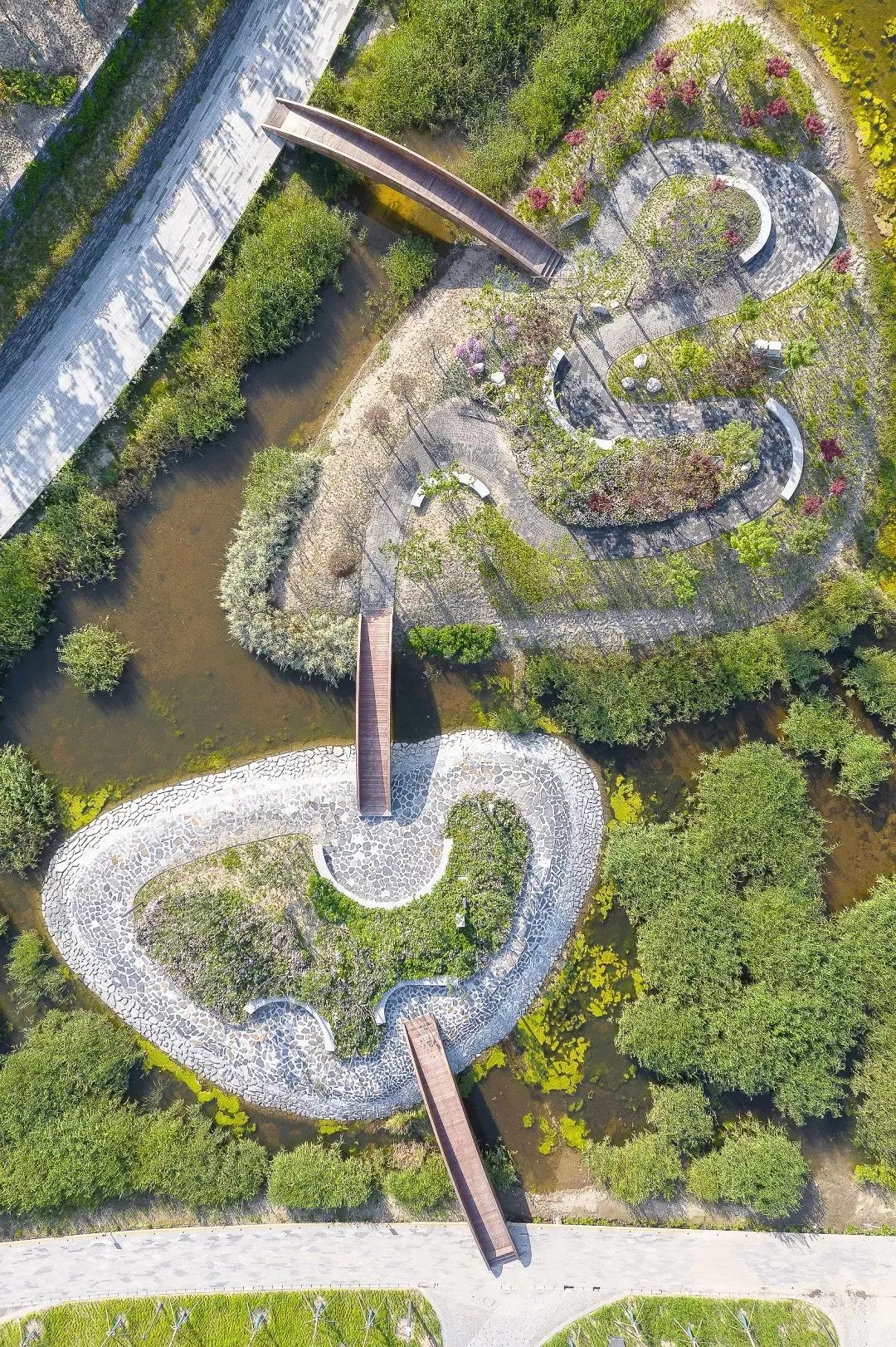文章配图-9