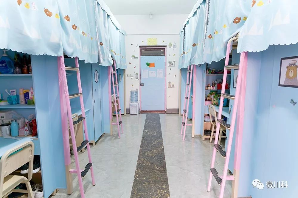 招生代码5186四川科技职业学院2019年艺体类专科批第二次征集志愿公告