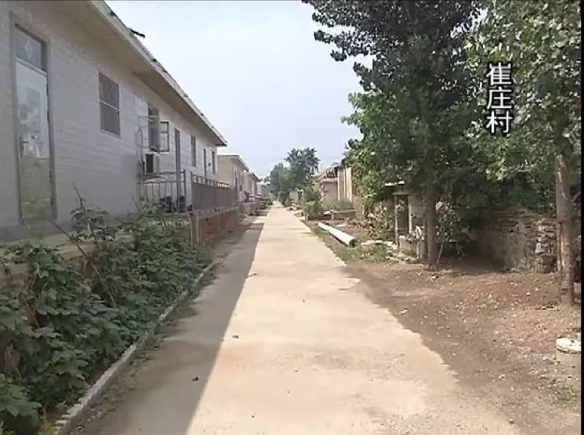 崔庄村:村庄基础条件好,主路相对较好,但次干道圈地占道突出,垃圾清运