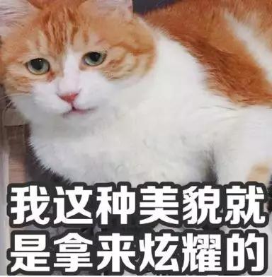 32e5f053a1dc481cac99efe5924ddf7c.JPG
