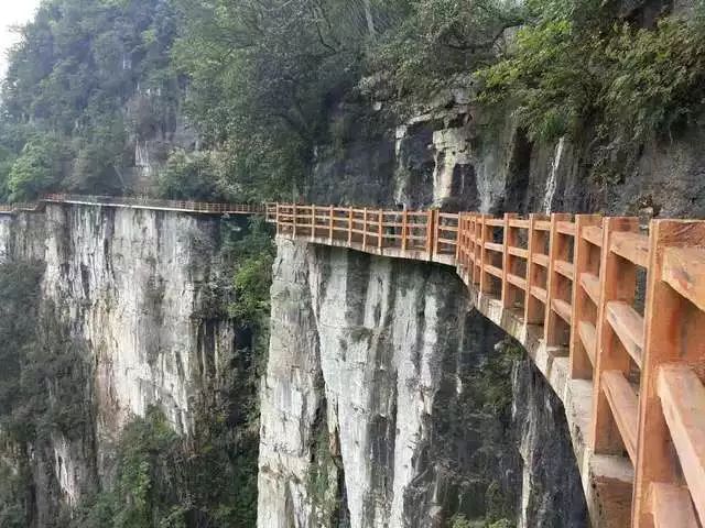 大方油杉河景区玻璃栈道今天正式运营