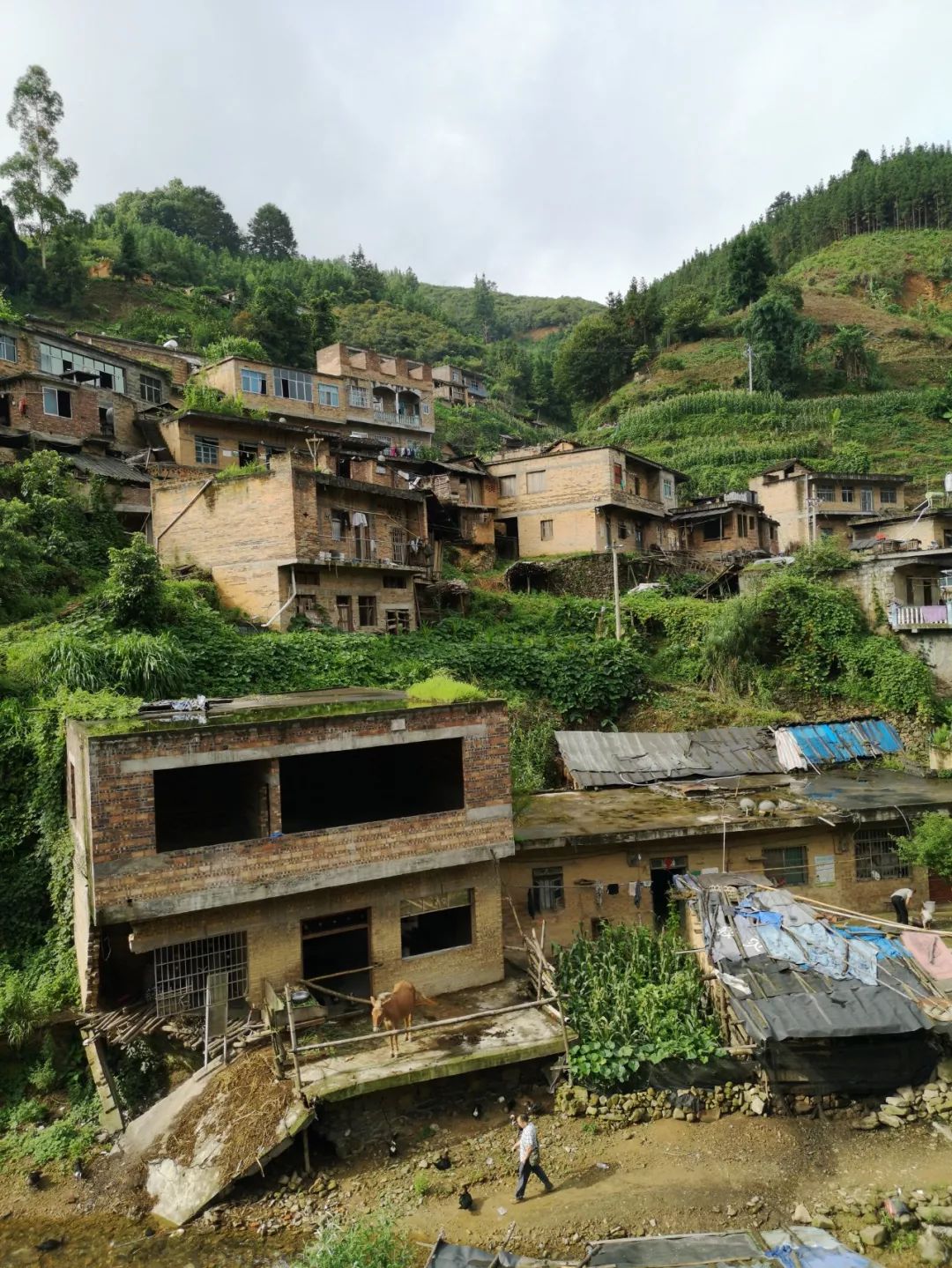 册亨县双江镇央绕村伟细组地质灾害点