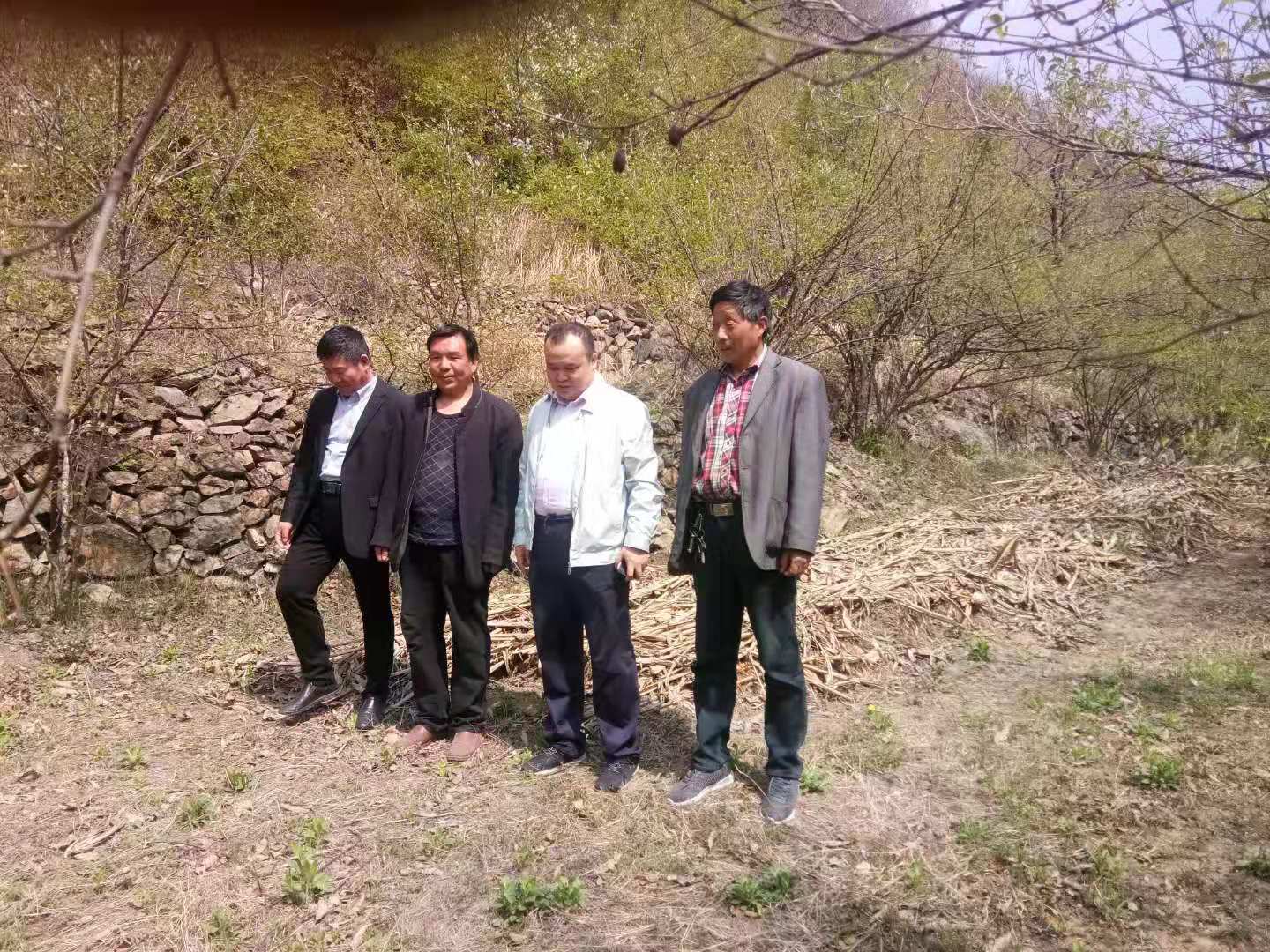 西峡县军马河镇:自个儿"爬"政府拉 脱贫路上"还怕啥"