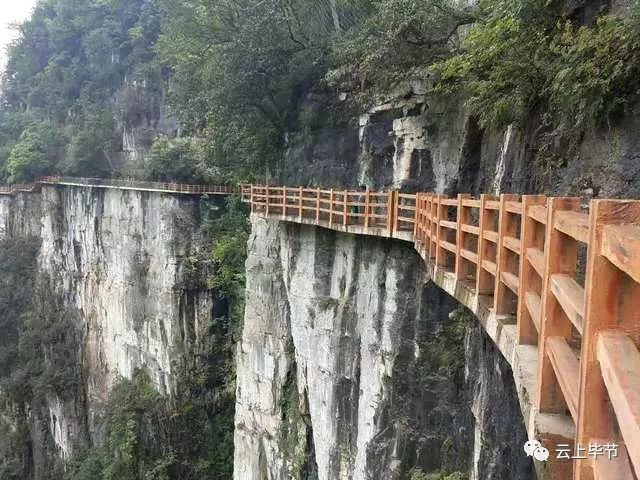 大方雨冲镇人口_微信头像简单大方