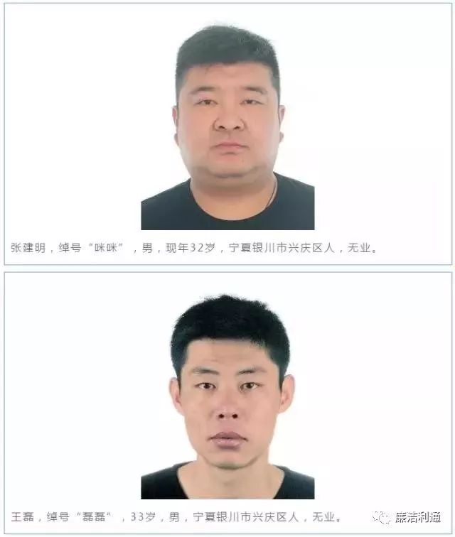 关于公开征集马海南,马龙,张建明 等人违法犯罪线索的