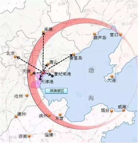 天津滨海历年出生人口_天津滨海新区爆炸视频(2)