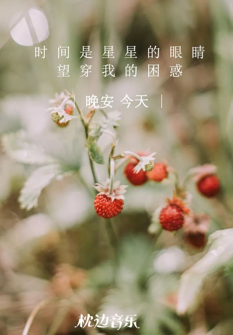 有没有人特别喜欢这首歌?