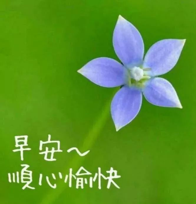 晚夏早晨好问候表情包 早晨好温馨简短句子