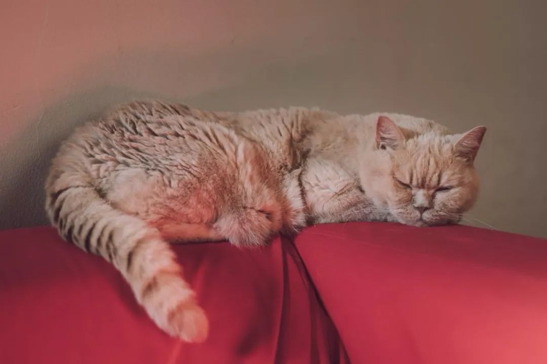 用一句当年很火的歌词,证明你老了