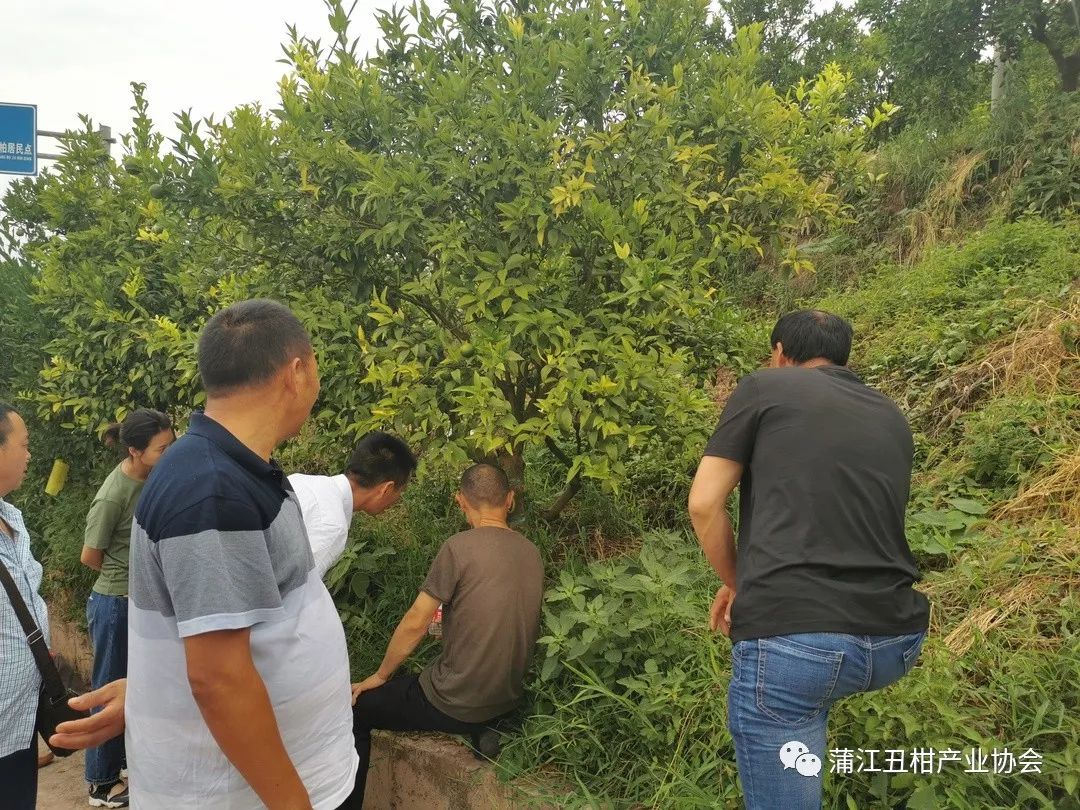 第二站 重庆北碚区 好产品,源于好品种.