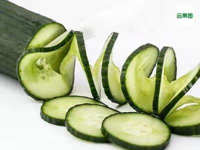 丝瓜煮水的功效与作用是什么 6d0f2cfd76e242f6acb942b9224e6426.jpeg