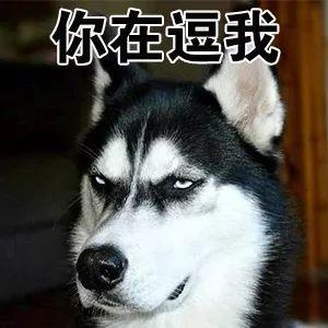 表情包丨上班狗疲惫的目光