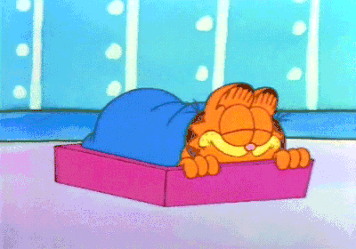 《garfield加菲猫》