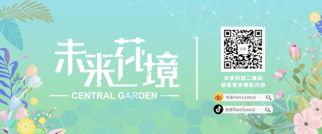 店名:全棉时代 店址:天环parc central b237a 电话:020-83629603 *