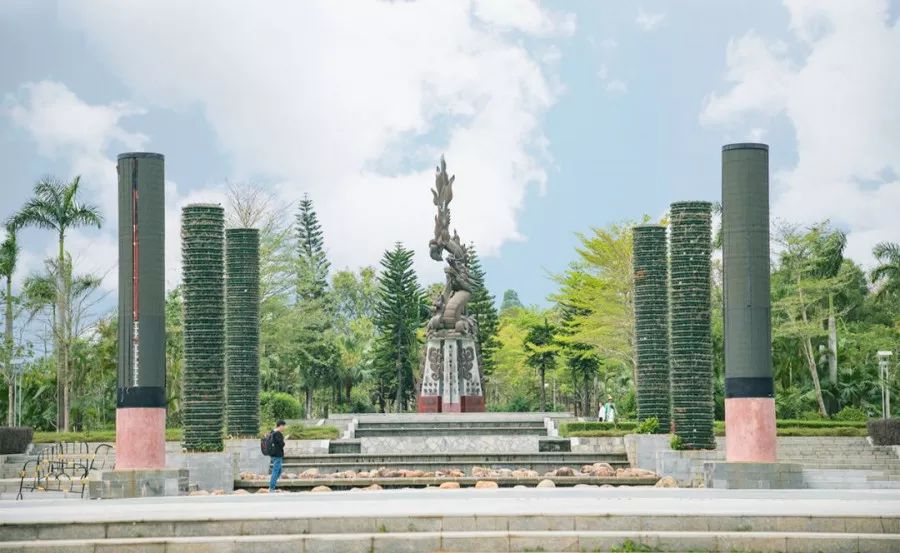 深圳坪山区经济总量增长示意_深圳坪山区