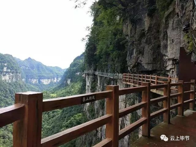 大方雨冲镇人口_微信头像简单大方