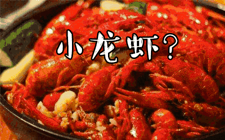 全城寻找