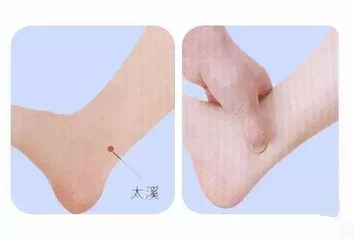 易脱发,牙齿易松动,舌红少津 治则:滋补肾阴 中极穴通调全身水道但擅