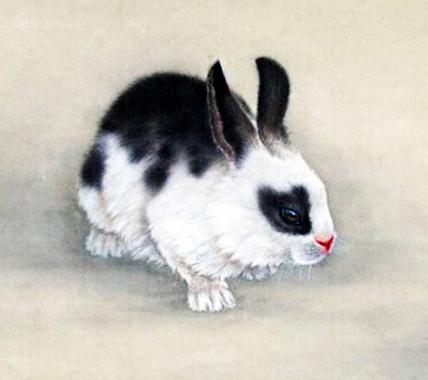 达达兔人口_达达兔(2)
