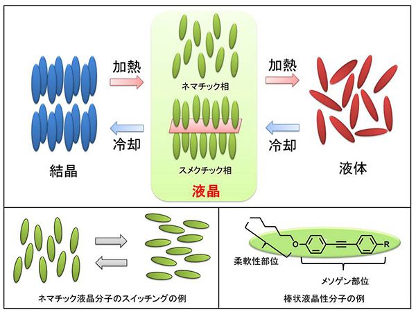 分子结构2lcp的研究历史,要远远晚于液晶的研究.历史研究1