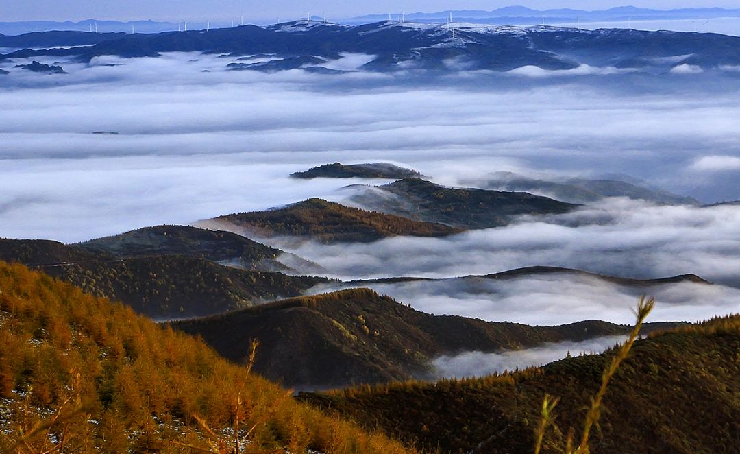 庄浪坐落在六盘山西麓的一颗夜明珠