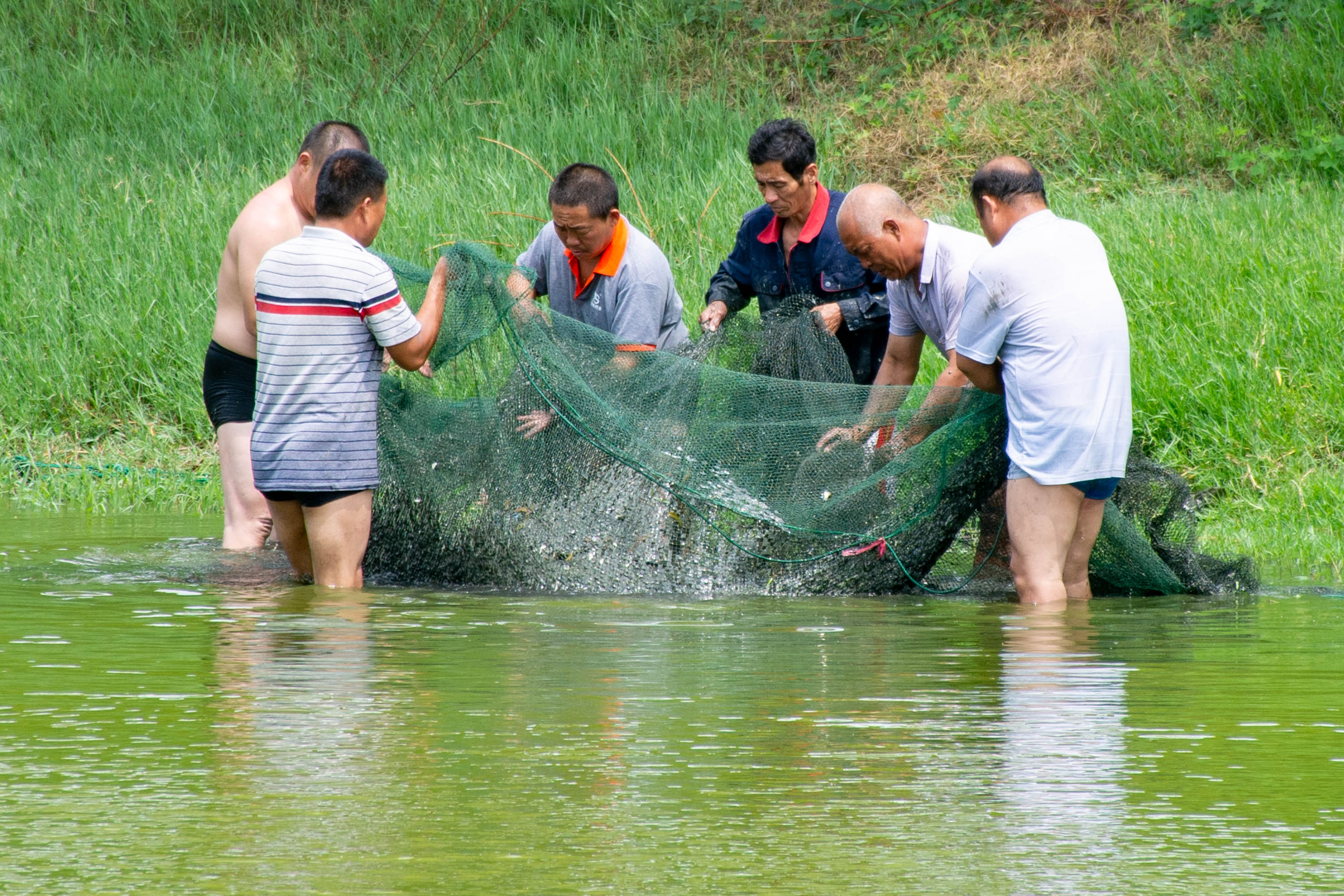 清港：防洪涝、护生态 开展河道捕鱼“清网行动”