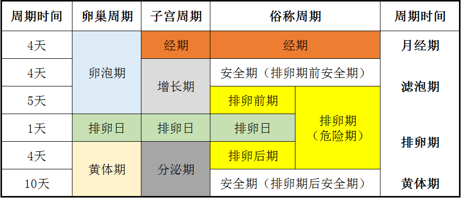 女性生理周期计算