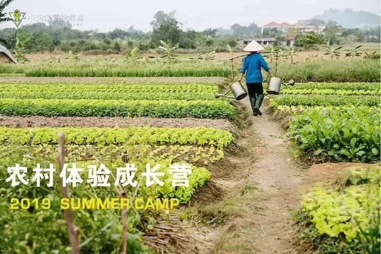 8月营抓住暑假的尾巴10必一运动官网款热门夏令营最后招募倒计时！(图3)