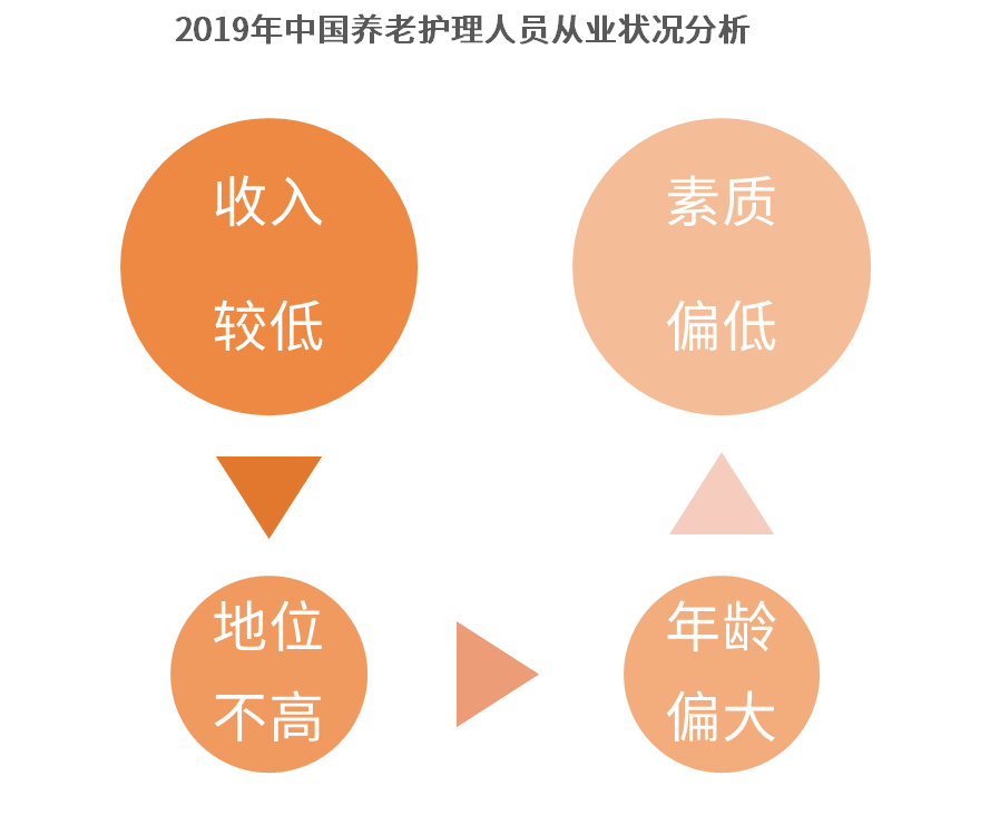 半岛体育2019中国养老护理市场及行业前景分析(图2)