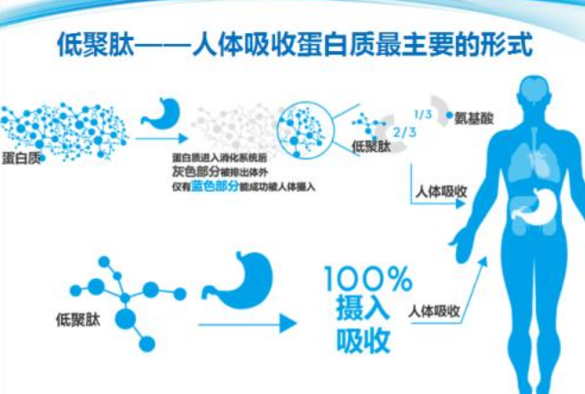 好玩的仙侠游戏