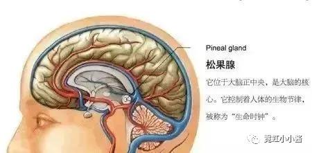 b8520a086b444b78837471b0d92506cb.JPG
