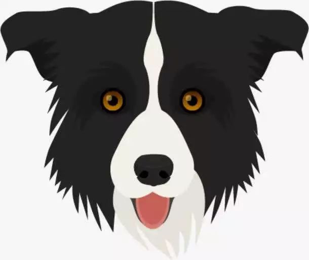 它:边牧狗狗他:何先生她:王女士虽然警方介入协调,但还是没有解决.