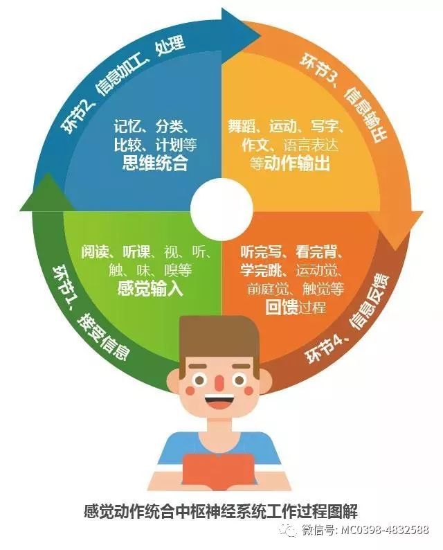 伊川中心感统训练到底是啥