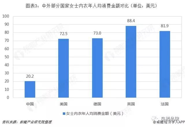 内衣市场需求_市场需求(2)