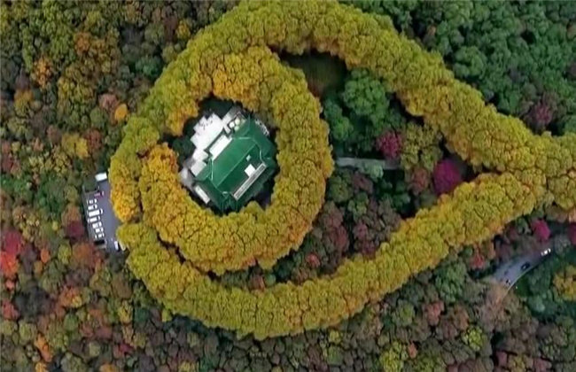 1 12 美龄宫是蒋介石及其夫人宋美龄下榻的别墅,位于南京市钟山风景