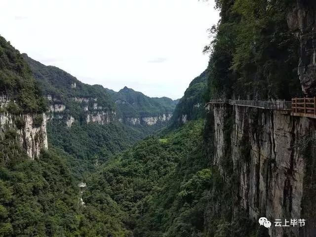 大方雨冲镇人口_微信头像简单大方