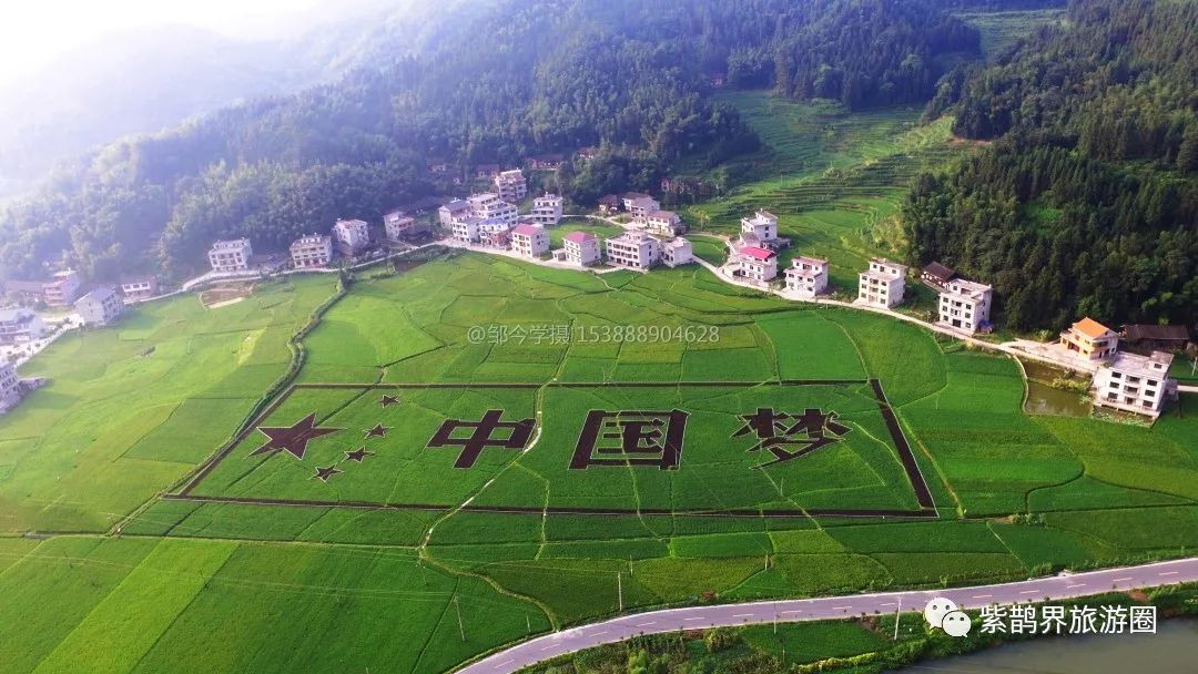 航拍紫鹊界梯田景区锡溪村中国梦艺术稻田霸气的白天夜景航拍