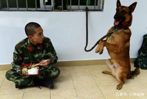 兵哥哥正在吃饭,却发觉身后一束目光,回头看米饭都要笑出来 澳门网上真人赌场网站