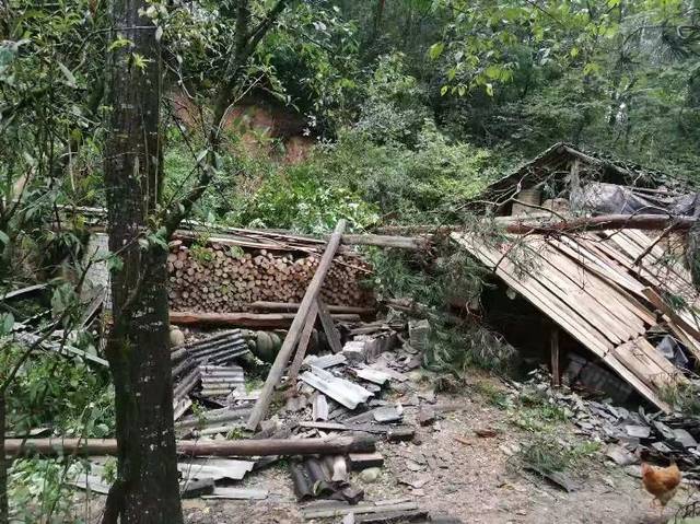 8月3日,洋县茅坪镇辖区普降大到暴雨,导致部分道路损毁,居民房屋出现