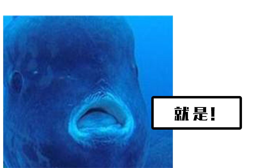 e4c0105f18c949dd95a16ff52d827db5.jpeg