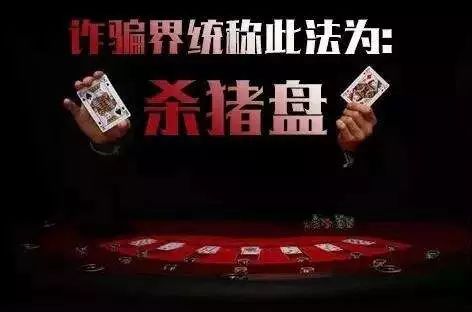 杀猪盘骗局内幕 fa8c0c5023a64ec3b70b408d65287930.jpeg