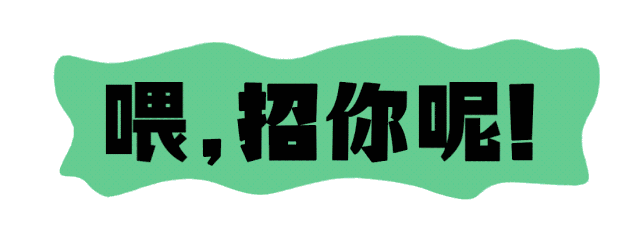 739人!山东10家省属事业单位大规模招聘,机会来了!