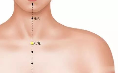 颈窝在喉结下,胸骨上的凹陷处,也是 天突穴所在的位置