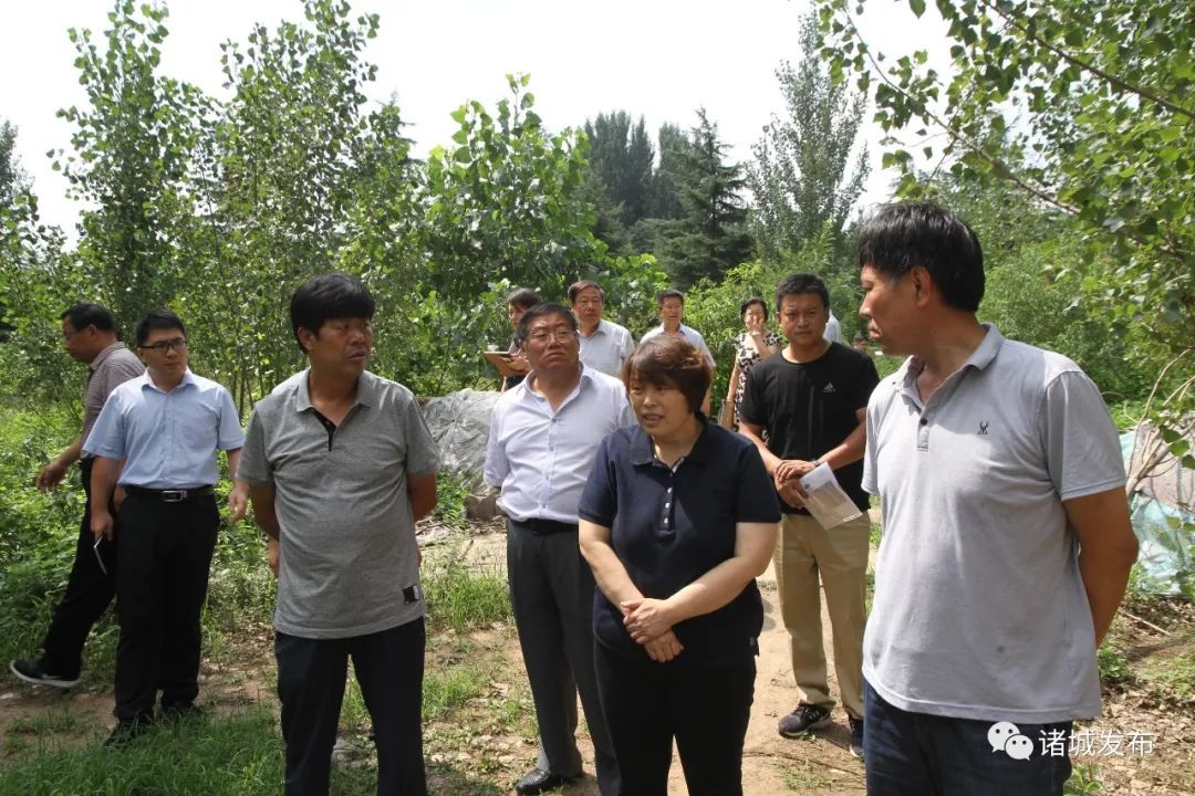 刘峰梅现场调度乡村振兴重点项目建设