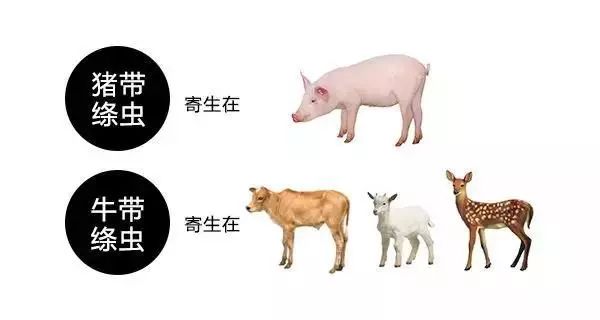 0cb39c86cb6941e8ac2febf965aedf08.jpeg