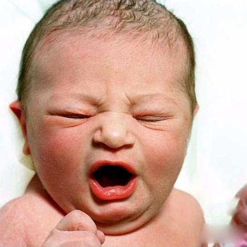                     原创            婴儿出生没有啼哭，正确的做法不是轻拍婴儿的屁股，而是？