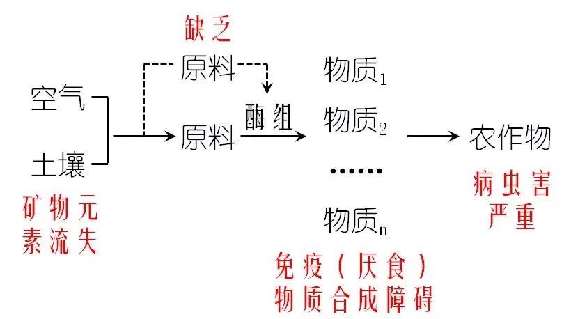 童年尤里克克曲谱_冰上的尤里电子琴曲谱(4)