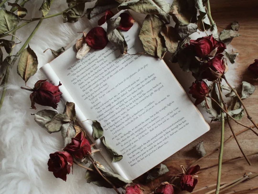 悲剧童话别样的美丨读夜莺与玫瑰