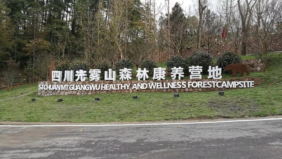 森林康养政策案例