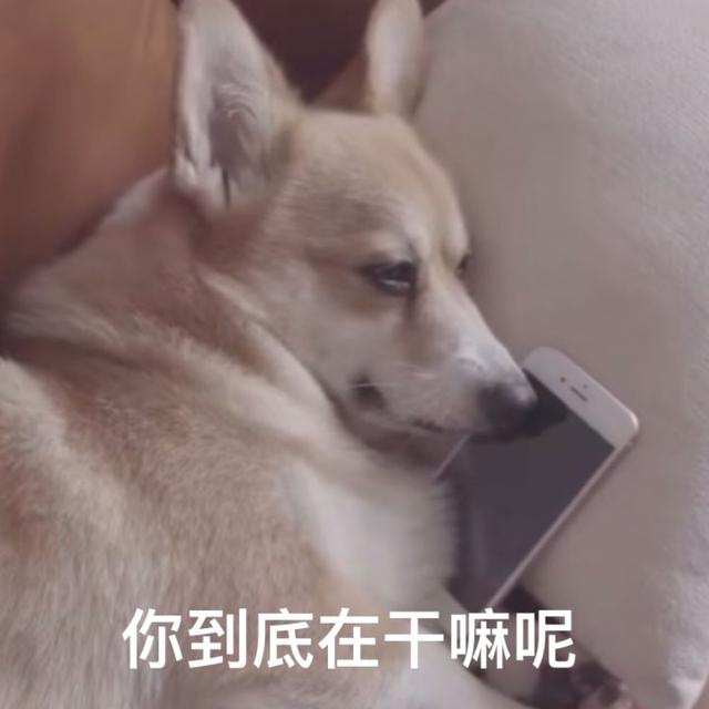 1f5f7969fc98439dbe52a45cd7ba0e7d.jpeg